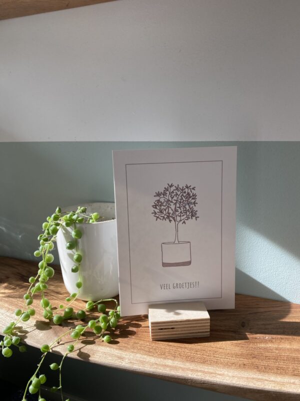 Minimalistisch | Puur | Natuur (3 voor de prijs van 2) - Afbeelding 3
