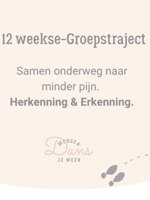 12-weekse Groepstraject