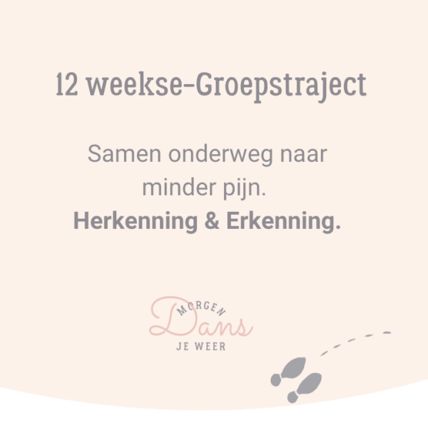 12-weekse Groepstraject